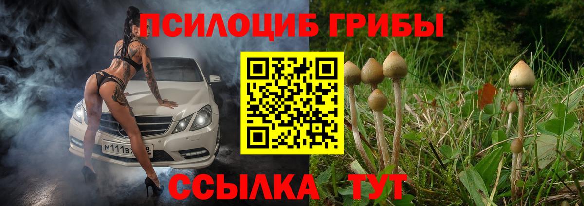 Галлюциногенные грибы MAGIC MUSHROOMS  Вход с VPN  где можно купить наркотик  Ртищево 